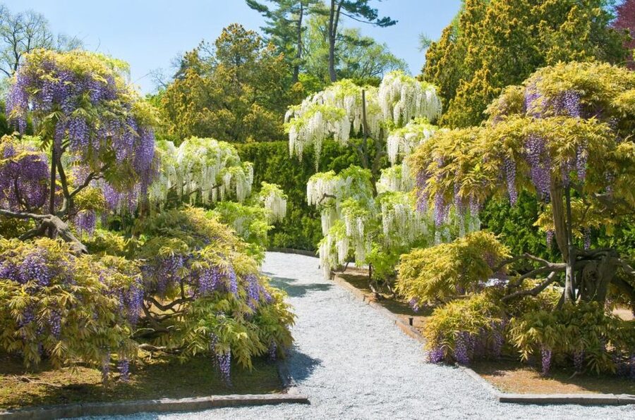 Kennett Square: Longwood Gardens Admission Ticket - Who Will Enjoy Longwood Most?