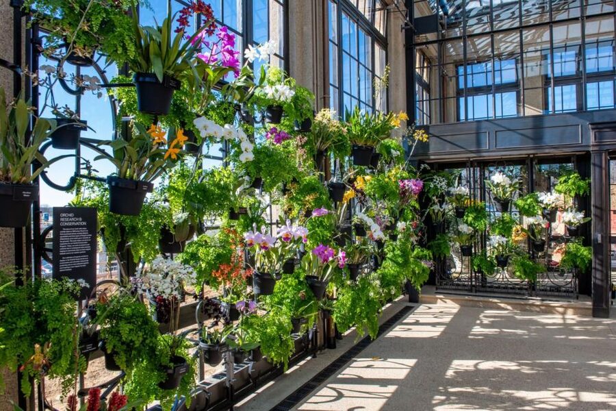 Kennett Square: Longwood Gardens Admission Ticket - Conservatories for a Change of Pace