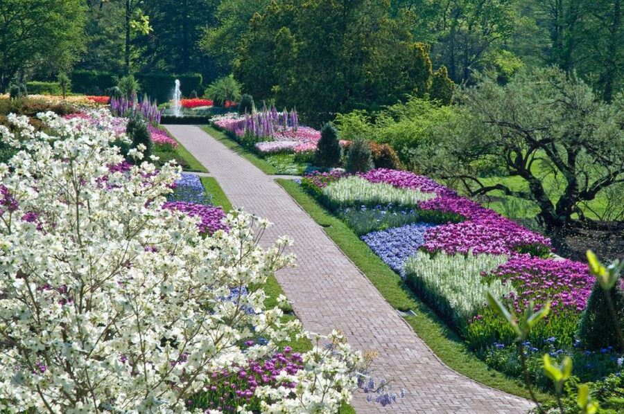 Kennett Square: Longwood Gardens Admission Ticket - Is the $32 Admission Good Value?
