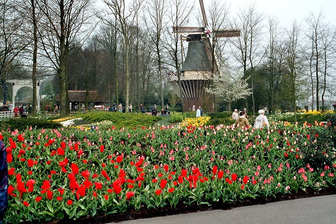 Keukenhof and Flower Fields Private Tour from Amsterdam - The 45-minute ride from Amsterdam