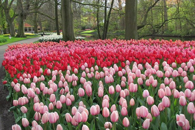 Keukenhof and Flower Fields Private Tour from Amsterdam - Five hours inside Keukenhof
