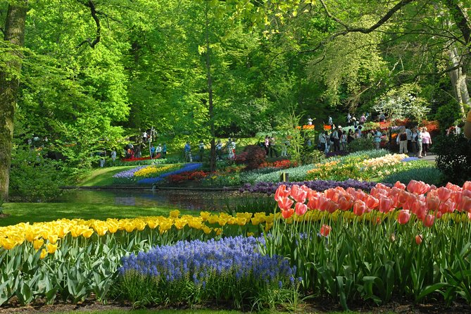 Keukenhof and Flower Fields Private Tour from Amsterdam - Who should book this Keukenhof experience?