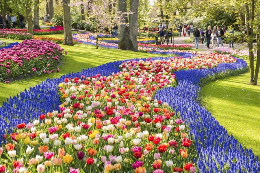 Keukenhof: Flower Fields Small-Group Cultural Bike Tour - The best time to see the fields