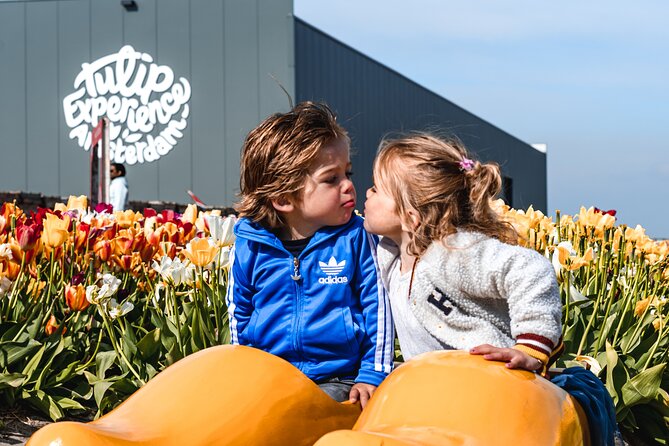 Keukenhof Gardens and Tulips Private Tour from Amsterdam - Private Mercedes transport and what you receive