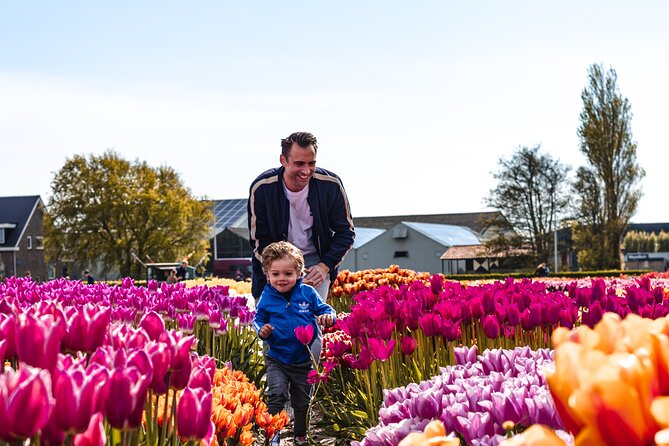 Keukenhof Gardens and Tulips Private Tour from Amsterdam - Stop two: Keukenhof’s seven million spring bulbs