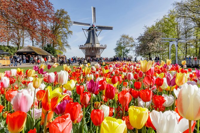 Keukenhof Gardens & Tulip Experience Tour from Amsterdam - The morning departure from central Amsterdam