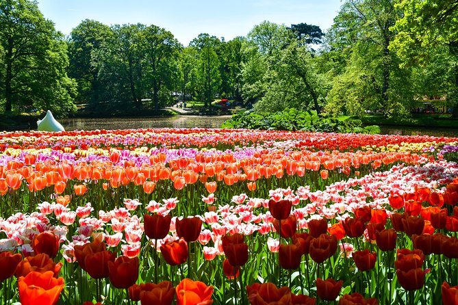 Keukenhof Gardens & Tulip Experience Tour from Amsterdam - Who should book this tour?