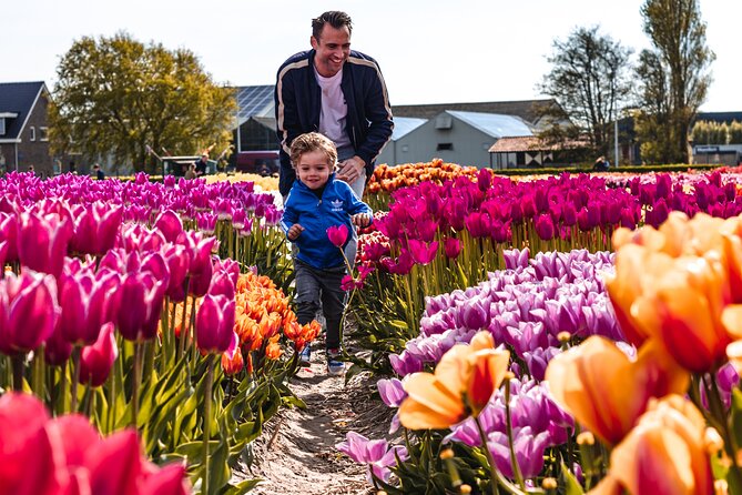Keukenhof Gardens & Tulip Experience Tour from Amsterdam - The Tulip Experience, where the fields feel personal