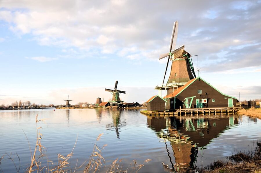 Keukenhof: Private Tulip & Windmill tour with cheese tasting - Who should book this experience?
