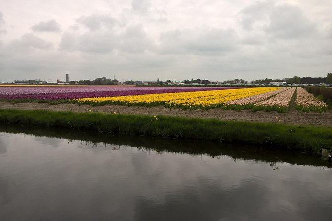 Keukenhof's Tulips and Windmills Small-Group Tour from Amsterdam - Gouda tasting at Catharina Hoeve