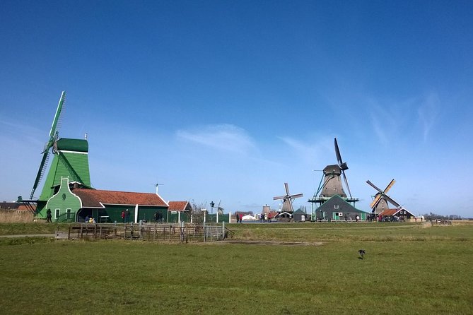 Keukenhof's Tulips and Windmills Small-Group Tour from Amsterdam - Transport, comfort, and the meeting point