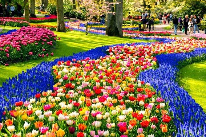 Keukenhof Skip-the-line Tickets: Countryside & Farm Private Tour - Key points at a glance