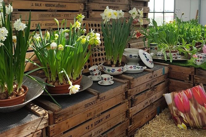 Keukenhof Skip-the-line Tickets: Countryside & Farm Private Tour - Why this route works for a full day