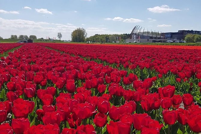 Keukenhof Skip-the-line Tickets: Countryside & Farm Private Tour - The private Mercedes advantage