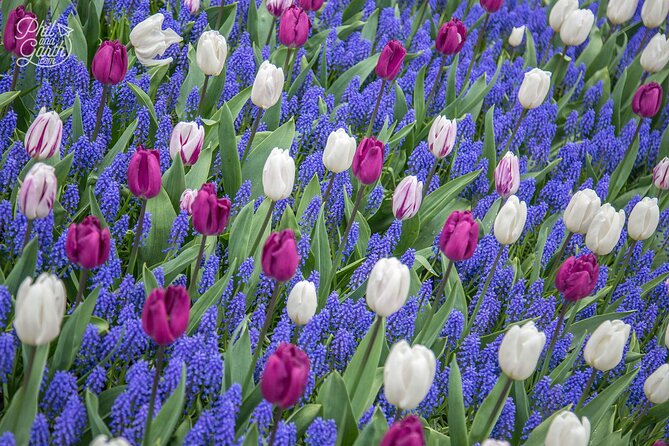 Keukenhof - spring garden from Rotterdam, Delf & The Hague - The journey from Rotterdam, Delft, or The Hague