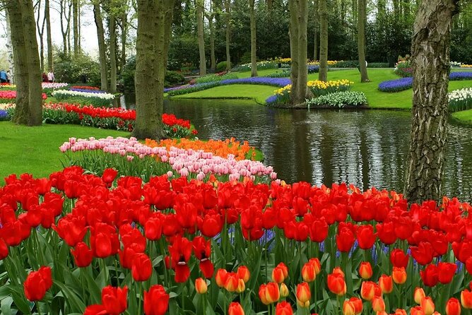 Keukenhof - spring garden from Rotterdam, Delf & The Hague - What Alex adds to the outing