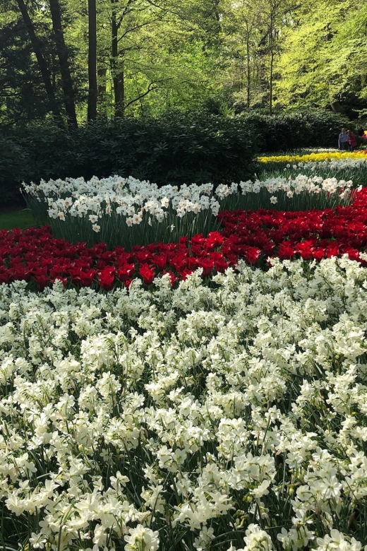 Keukenhof, Tulip Farm, Flower Fields & Windmills - Keukenhof: the main event for flower lovers