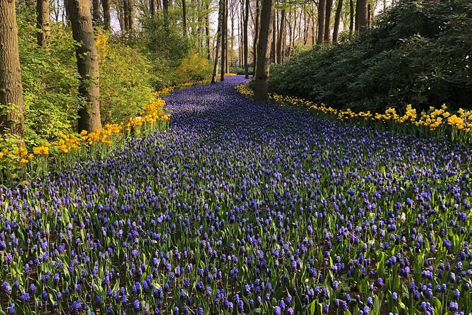 Keukenhof, Tulip Farm, Flower Fields & Zaanse Schans Windmills - Why this private day trip works