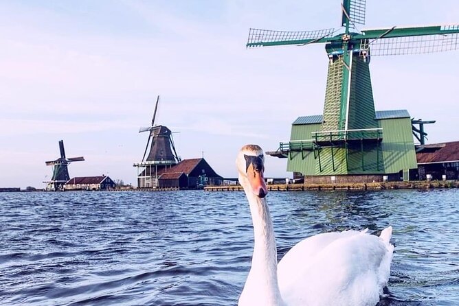 Keukenhof, Tulip Farm, Flower Fields & Zaanse Schans Windmills - Photo stops among the tulip fields