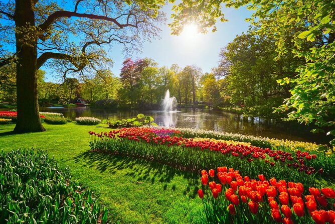 Keukenhof Tulip Garden Tour - Food, drinks, and what to plan for