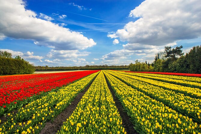 Keukenhof Tulip Garden Tour - Who should book this Keukenhof tour?