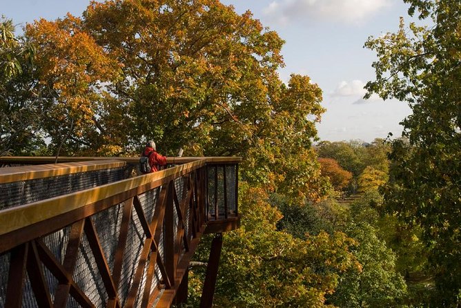 Kew Gardens Entrance Ticket - Five things to know before visiting Kew Gardens