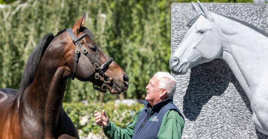 Kildare: Irish National Stud & Gardens - Living Legends and the careers after racing