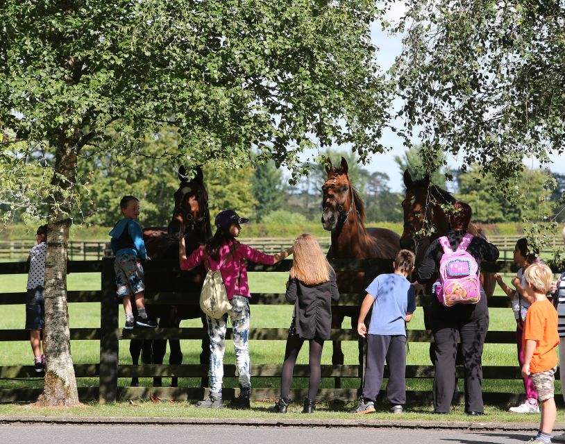 Kildare: Irish National Stud & Gardens - How much time should you allow?