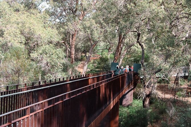 Kings Park Botanicals And Beyond - Key points to know before booking