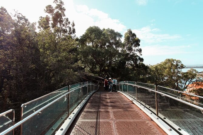 Kings Park Botanicals And Beyond - Federation artwork and Swan River views