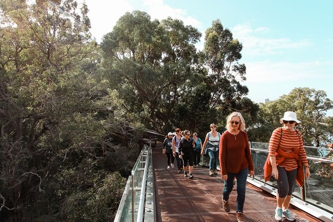 Kings Park Botanicals And Beyond - The 750-year-old boab tree