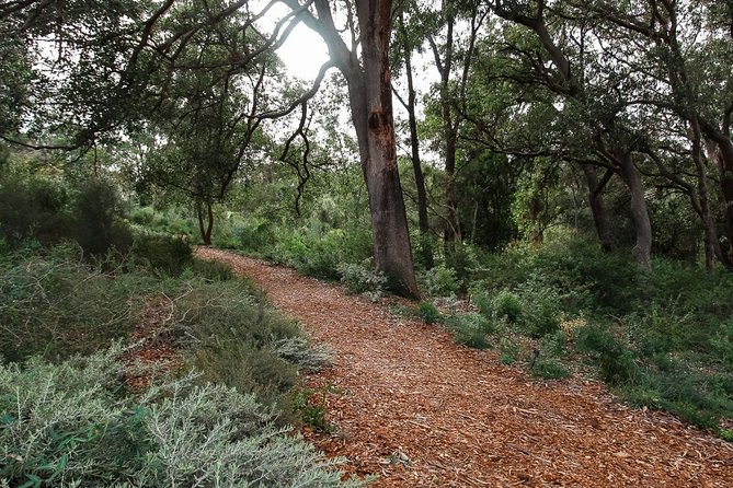 Kings Park Botanicals And Beyond - What the guides add to the experience