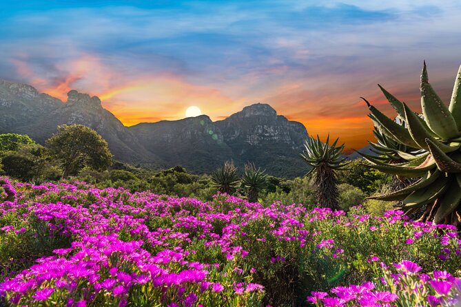 Kirstenbosch Botanical Gardens and Constantia Wine Tasting Tour. - Why this combination works in Cape Town