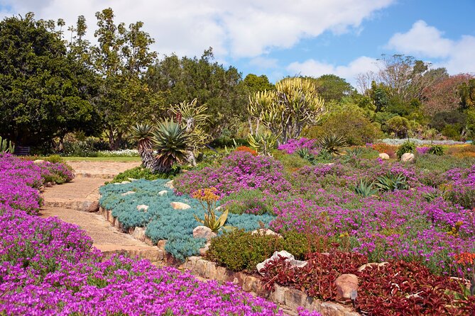 Kirstenbosch Garden, Bo-Kaap-Penguins & Cape of Good Hope Tour - St James Beach and Kalk Bay show a gentler Cape Town