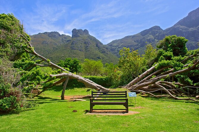 Kirstenbosch Garden, Bo-Kaap-Penguins & Cape of Good Hope Tour - Camps Bay closes the circuit along the Atlantic