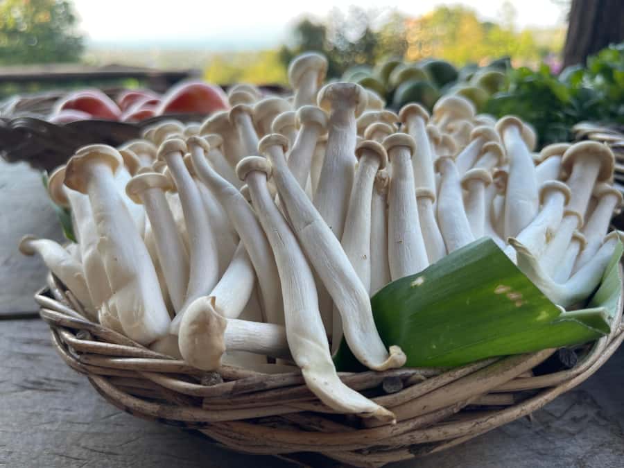 Koh Samui: Evening Thai Cooking Class with Organic Garden - What the $125 price includes