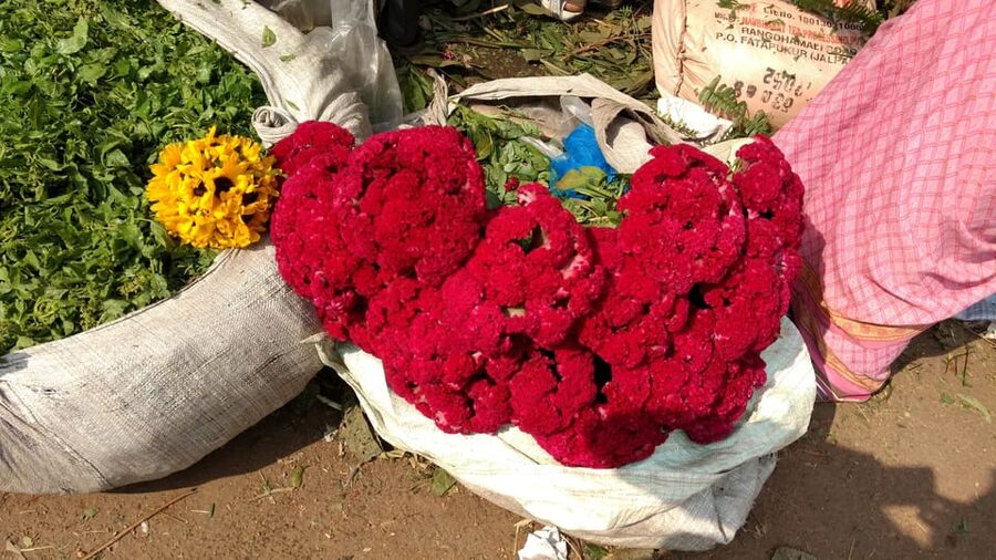 Kolkata: Half-Day Morning Tour w/ Flower Market - Key points to know before booking