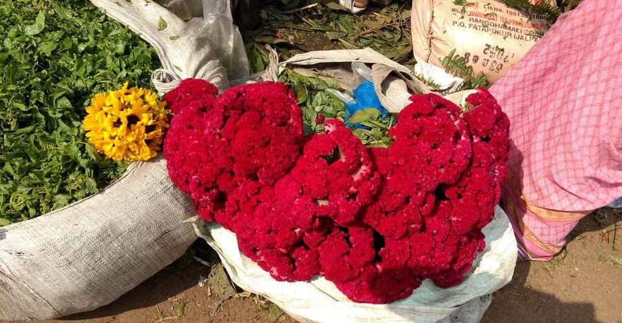 Kolkata: Half-Day Morning Tour w/ Flower Market - Why this four-hour route works