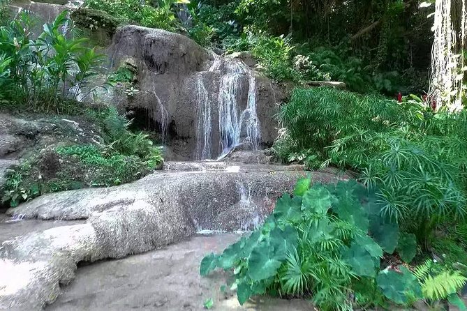 Konoko Falls and Tropical Garden Tour from Ocho Rios - Walking through orchids, birds, and koi ponds
