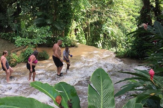 Konoko Falls and Tropical Garden Tour from Ocho Rios - Reaching the top for Ocho Rios views
