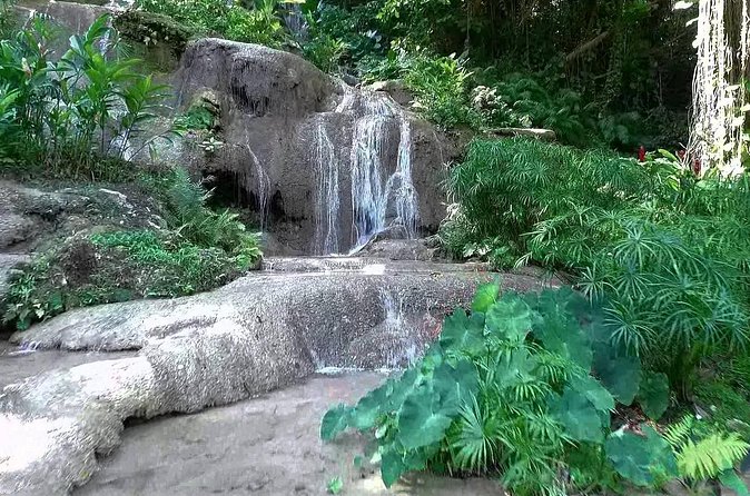 Konoko Falls and Tropical Garden Tour from Ocho Rios - What the $96.16 price includes