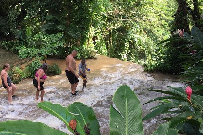 Konoko Falls and Tropical Garden Tour from Ocho Rios - Who will enjoy this tour most
