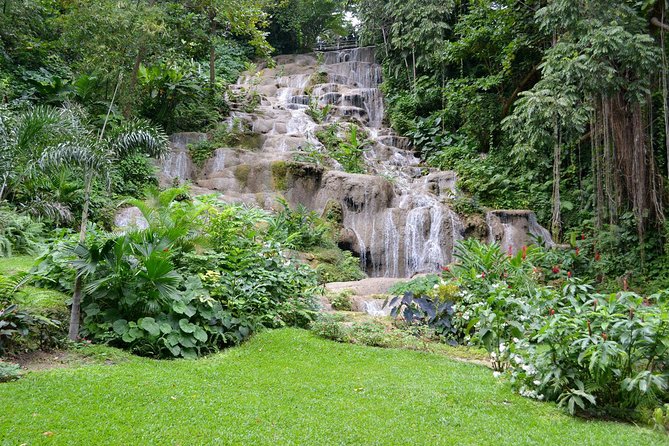 Konoko Falls and Tropical Garden Tour from Runaway Bay - Key points to know before you book