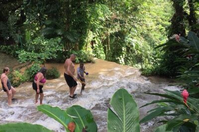 Konoko Falls and Tropical Garden Tour from Runaway Bay