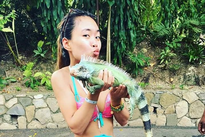 Konoko Falls and Tropical Garden Tour from Runaway Bay - Should you book Konoko Falls?
