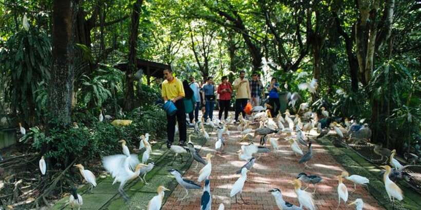 Kuala Lumpur: Bird Park, Butterfly & Garden Private Tour - Butterfly Park and the life cycle behind the wings