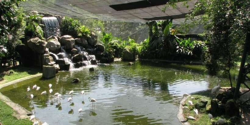 Kuala Lumpur: Bird Park, Butterfly & Garden Private Tour - Is $79 per person good value?
