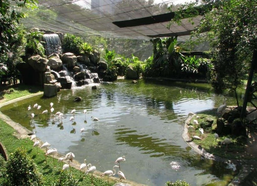 Kuala Lumpur: Bird Park, Butterfly & Garden Private Tour - Pickup from central Kuala Lumpur