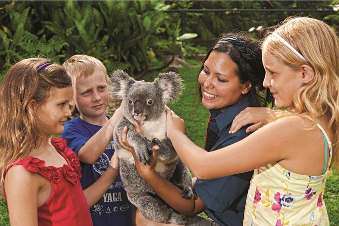 Kuranda Koala Gardens General Entry Ticket - How much time should you allow?