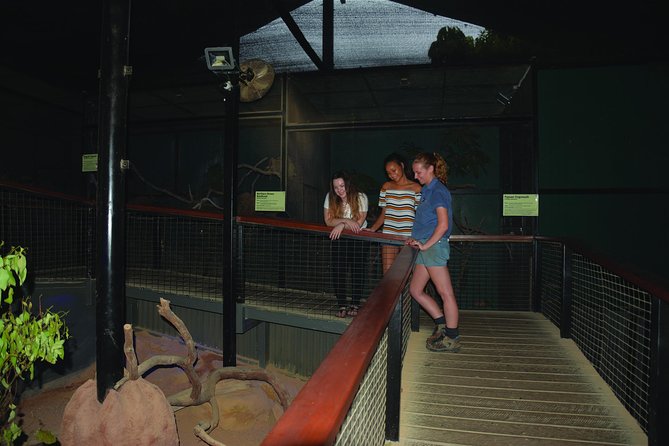 Kuranda Koala Gardens General Entry Ticket - Who will enjoy Kuranda Koala Gardens most?